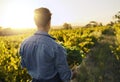 He sowed it, he reaped it. Rearview shot of a young man holding a crate full of freshly picked produce on a farm.