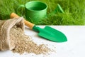 Sowing of the green grass in the spring garden abstract with watering can and seed Royalty Free Stock Photo