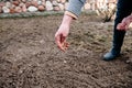 Sowing lawn grass seed into the soil. Farmer`s hand spreading seeds. Royalty Free Stock Photo