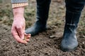 Sowing lawn grass seed into the soil. Farmer`s hand spreading seeds. Royalty Free Stock Photo