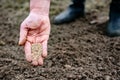 Sowing lawn grass seed into the soil. Farmer`s hand spreading seeds. Royalty Free Stock Photo