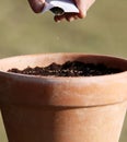 Sowing seeds in to the pot Royalty Free Stock Photo