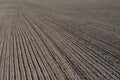 Sowing time: Early and late sowing, spring sown barley, wheat, oats, rye. Plowed land