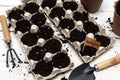 Sowing tomato seeds for seedlings in biodegradable egg trays. The concept of recycling, reuse and composting. Refusal of plastic