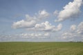 Sowing of winter crops. The growth of winter crops in the field Royalty Free Stock Photo