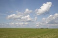 Sowing of winter crops. The growth of winter crops in the field Royalty Free Stock Photo