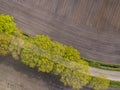 Sown potatoe field aerial