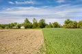 A sown vegetable garden in the spring and a plot of wheat in the village Royalty Free Stock Photo