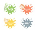 Soy, almond, coconut and rice milk logotype set in splash form with drops. Packaging badge design element set. Hand