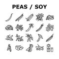 soy bean food pea green icons set vector Royalty Free Stock Photo