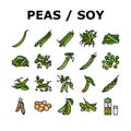 soy bean food pea green icons set vector Royalty Free Stock Photo