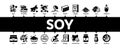 Soy Bean Food Product Minimal Infographic Banner Vector