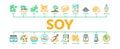 Soy Bean Food Product Minimal Infographic Banner Vector