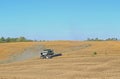 Soy Bean Harvest Royalty Free Stock Photo