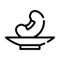 Soy bean on plate line icon vector illustration
