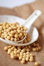 Soy bean on sack background Royalty Free Stock Photo