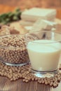 Soy products healthy food Royalty Free Stock Photo