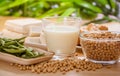 Soy products healthy food Royalty Free Stock Photo