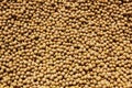 Soy beans Royalty Free Stock Photo