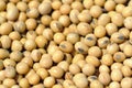 Soy beans Royalty Free Stock Photo