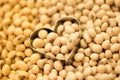 Soy beans in heart box shape