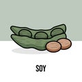 Soy beans organic healthy vegetarian food. Vector flat illustration. Natural product