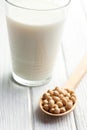 Soy beans and soymilk Royalty Free Stock Photo