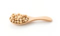 soy beans Royalty Free Stock Photo