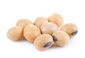 soy beans on the white groundback Royalty Free Stock Photo