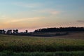 A soy field in late afternoon with skies, and a distant tree line of trees