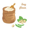 Soy flour in bag and wooden scoop isolated on white background. Green Soya pods and leaves. Vector illustration