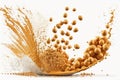 Soy flour splashed on a white background