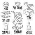 Soy food set. Miso, tofu skin, soybean, sauce Royalty Free Stock Photo