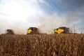 Soy harvest. Royalty Free Stock Photo