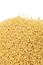 Soy lecithin granules