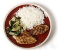 Soy marinaded chicken breast meal