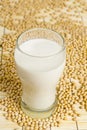 Soy Milk Royalty Free Stock Photo