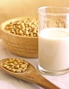 Soy milk Royalty Free Stock Photo