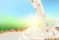 Soy Milk Banner, splash Natural Diet Drink of Whole Soy Beans , Source of Protein and Vitamin,Lactose Free, Package Design,