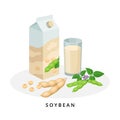 Soy milk in box and glass. Plant milk, vegan milk concept. Vector illustration isolated on white background. Alternative