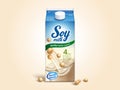 Soy milk carton package Royalty Free Stock Photo