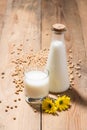 Soy milk or soya milk and soy beans on wooden table. Royalty Free Stock Photo