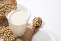 Soy milk, soybeans and a wooden spoon on a white background