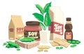 Soy products composition. Cartoon healthy food with tofu tempeh soy milk soy sauce, organic vegetarian nutrition concept