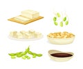 Soy Products with Legume Pod, Beans in Bowl, Tofu Cheese and Sauce Vector Set Royalty Free Stock Photo