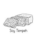 Soy tempeh monochrome outline icon