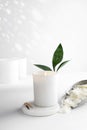 Soy wax candle in a white ceramic jar, and green leaf, plant on a white background. natural eco friendly organic wax candles.