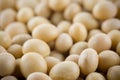 Soya bean