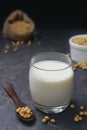 Soya bean milk Royalty Free Stock Photo