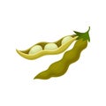 Soya bean pod, healthy vegetarian food vector Illustration on a white background